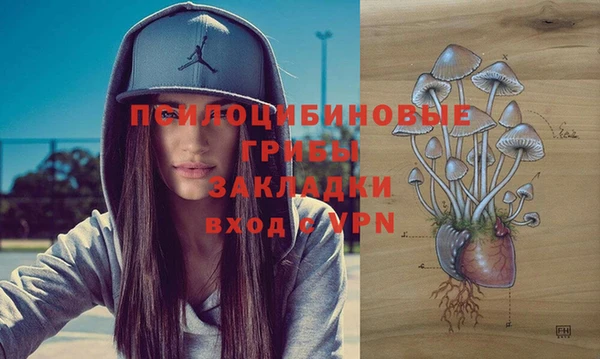 шишки Балахна